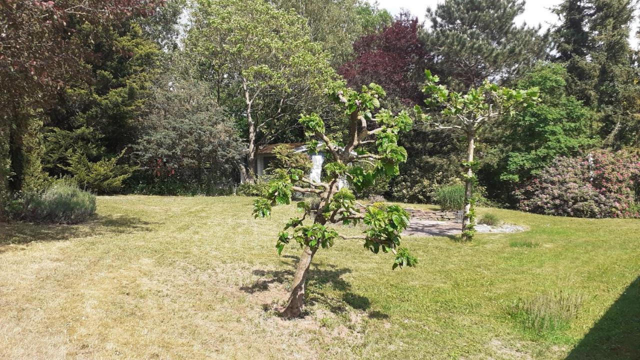Ferienhaus Province Oberemmel Kültér fotó